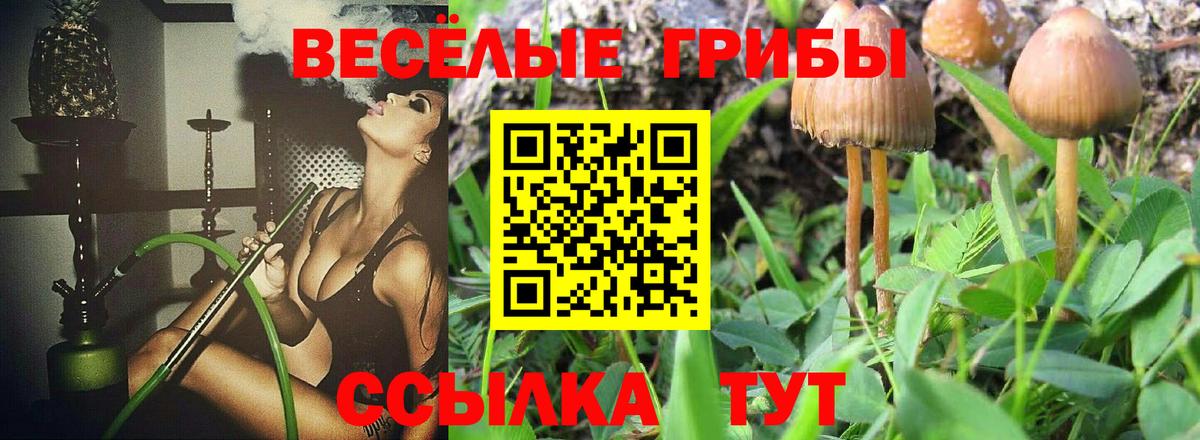Галлюциногенные грибы мухоморы  Псилоцибиновые грибы GOLDEN TEACHER  Россошь  цены наркотик  Вход с VPN 